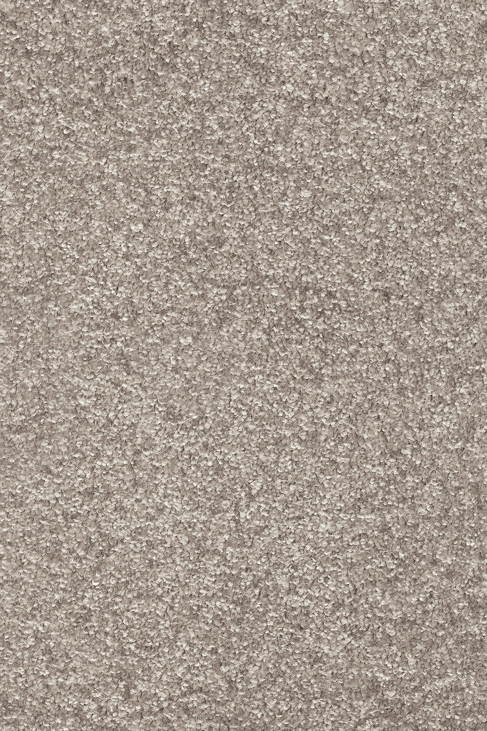 Yukon - Blanched Almond