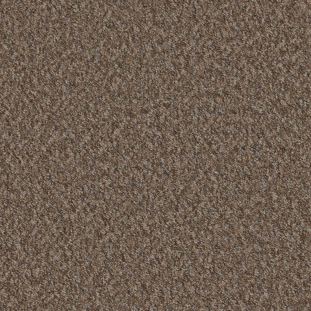 Mojave