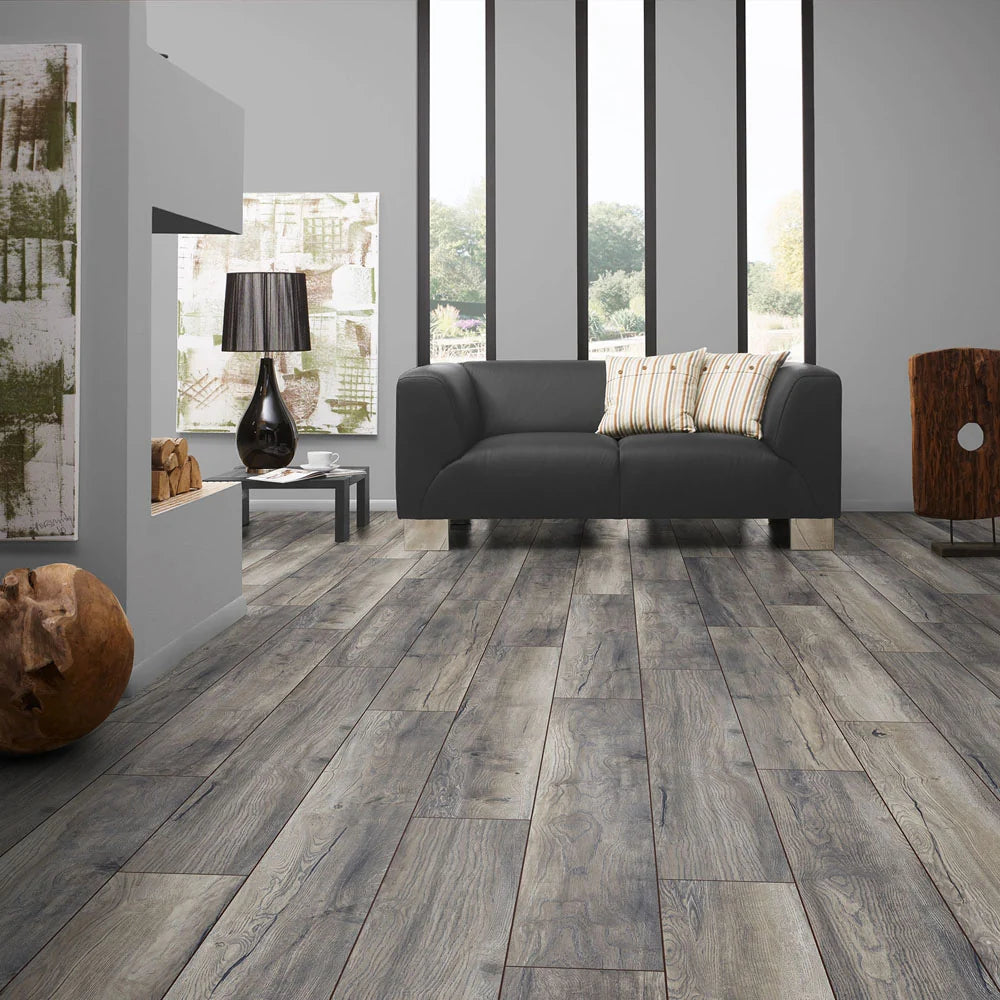 Harbour oak