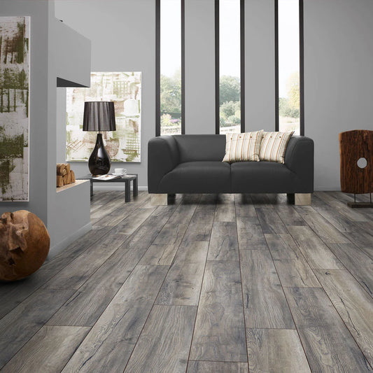 Harbour oak