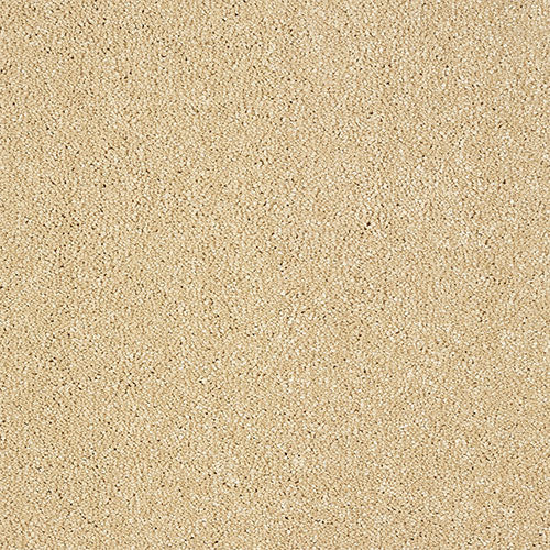 Indulgence Sea Shell 4m