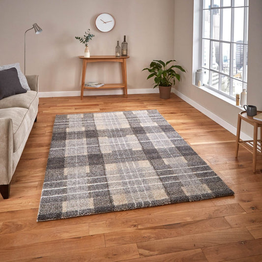 Elegant Rugs Grey 4890