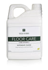 Ted Todd Intensive Clean