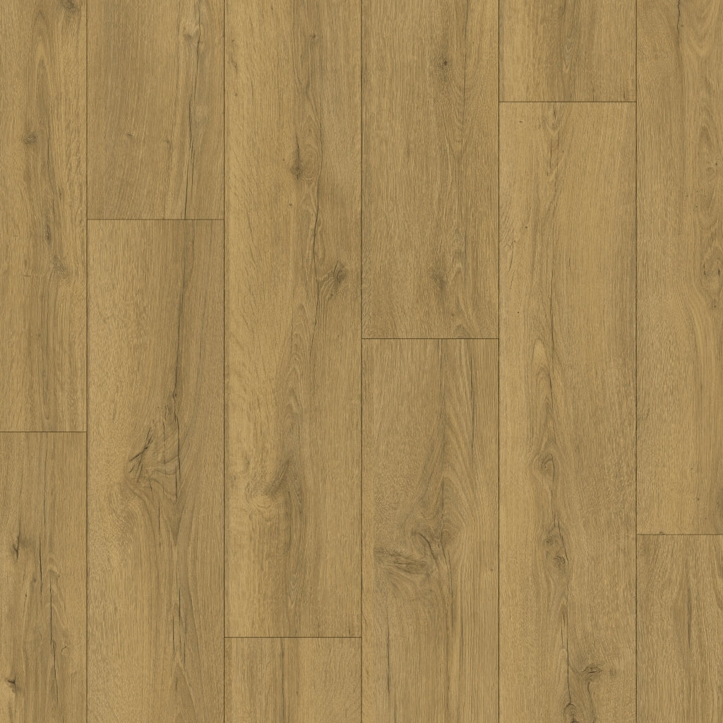Quick Step Classic 1.596m (8mm)